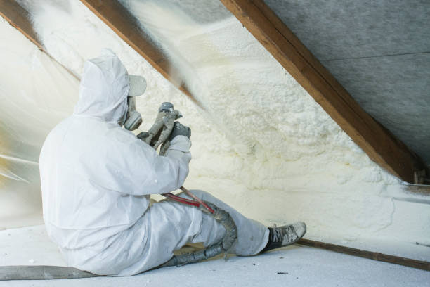 Best Blown-In Insulation in USA